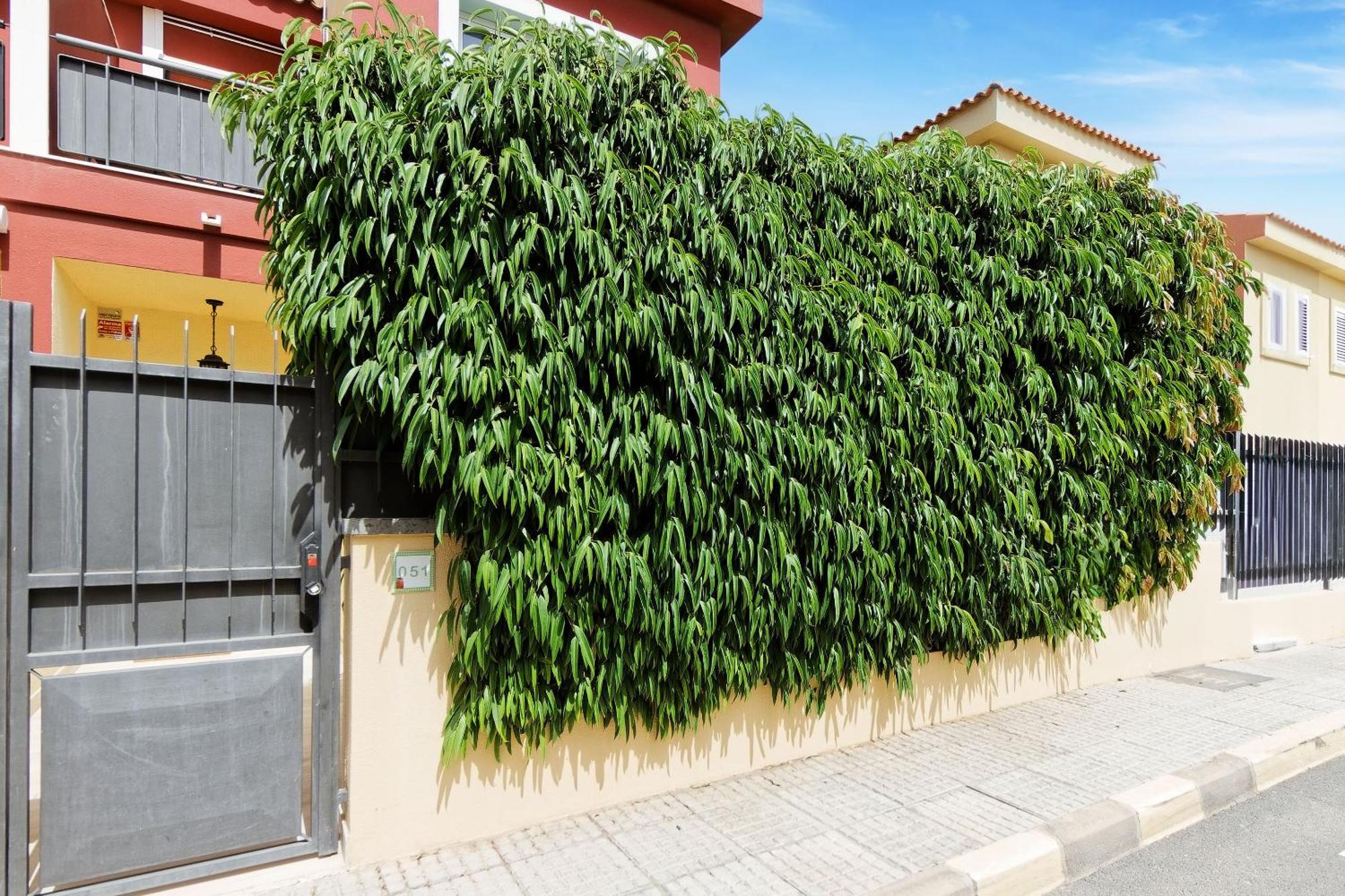 Villa Anil Meloneras San Bartolomé Exteriér fotografie
