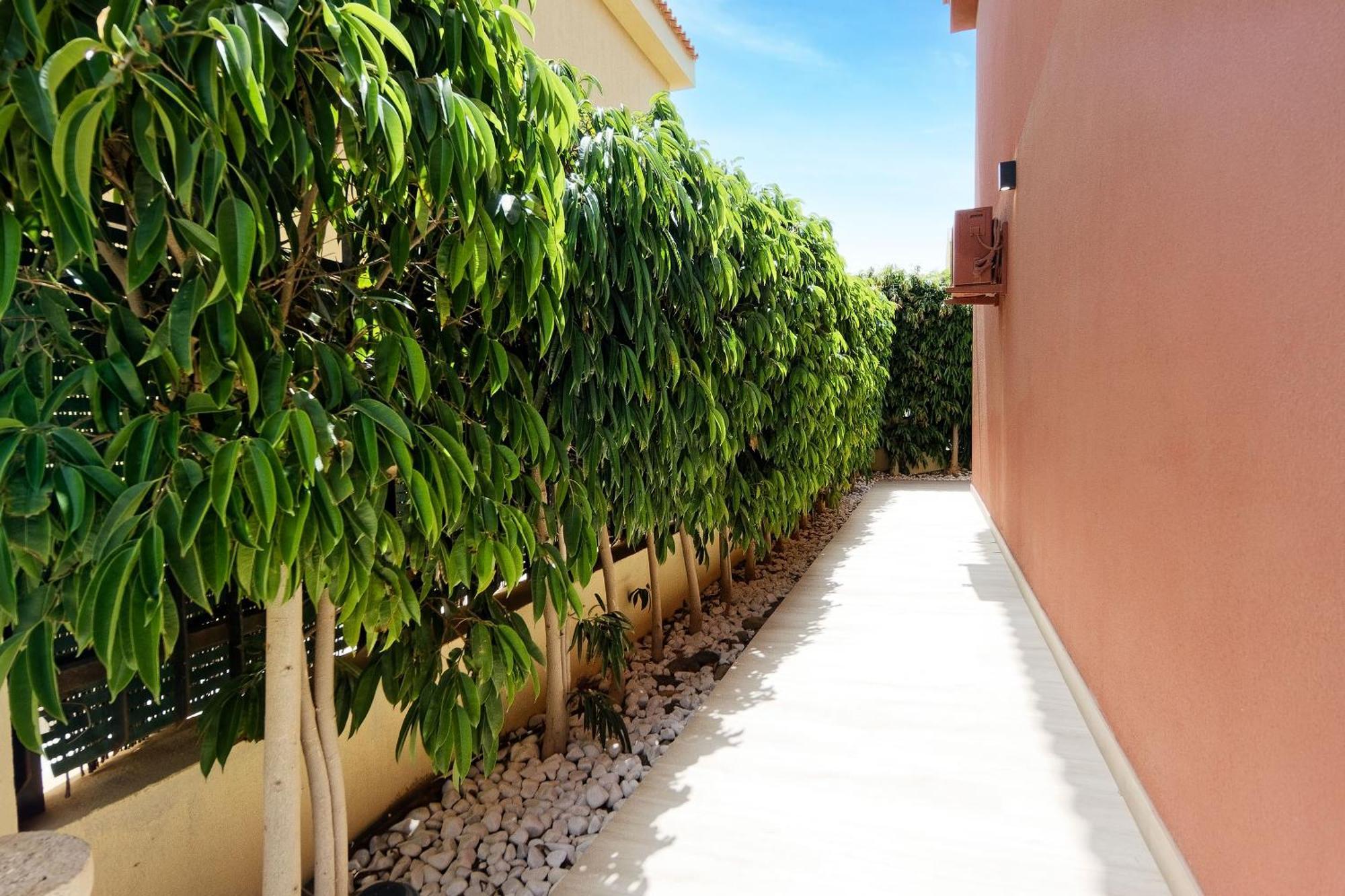 Villa Anil Meloneras San Bartolomé Exteriér fotografie